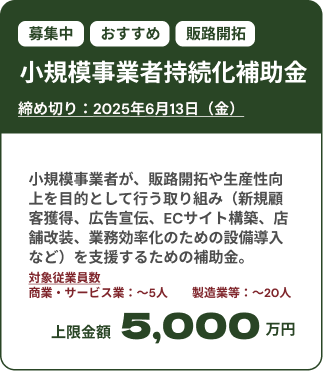 小規模事業者持続化補助金募集中：締め切りは2025年6月13日（金）。 小規模事業者が、販路開拓や生産性向上を目的として行う取り組み（新規顧客獲得、広告宣伝、ECサイト構築、店舗改装、業務効率化のための設備導入など）を支援するための補助金。上限金額は5,000万円。